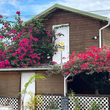 Le Cosy Bungalow De Lili / 5Min De L'Aeroport Les Abymes Εξωτερικό φωτογραφία