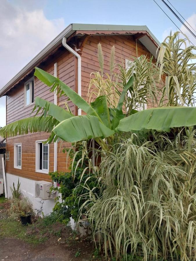 Le Cosy Bungalow De Lili / 5Min De L'Aeroport Les Abymes Εξωτερικό φωτογραφία
